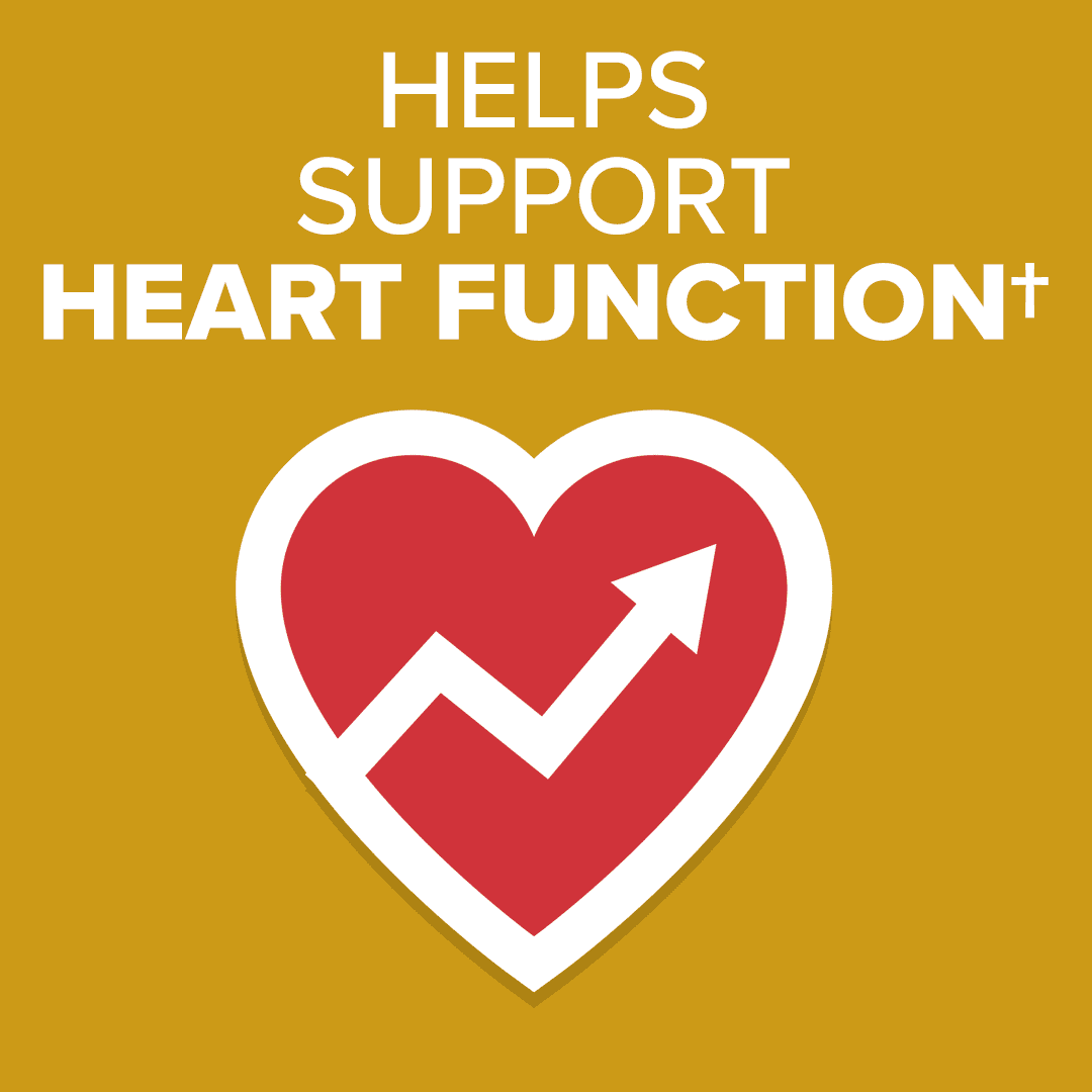 Nature Made CoQ10 200mg Softgels, Dietary Supplement for Heart Health Support, 60 Count