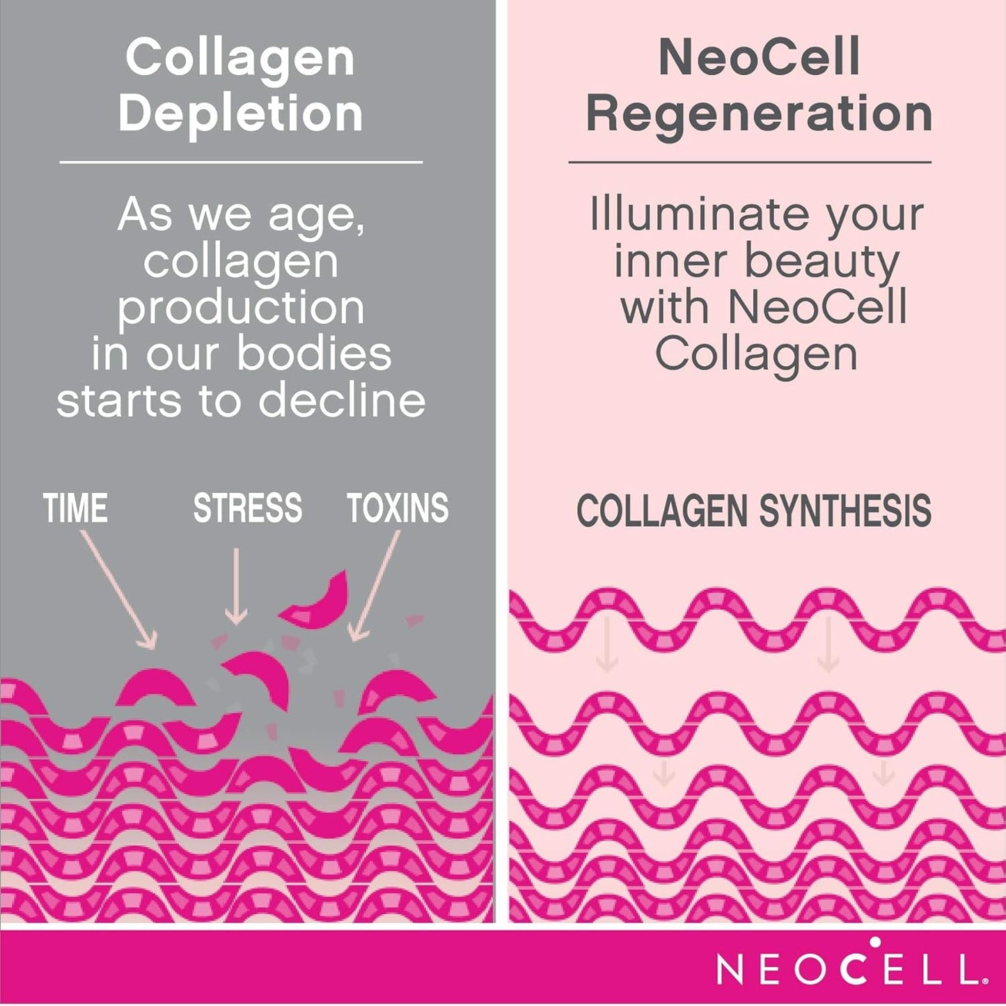 Super Collagen Peptides | Types 1 and 3 | Unflavored | 21.2 Ounces | by NeoCell